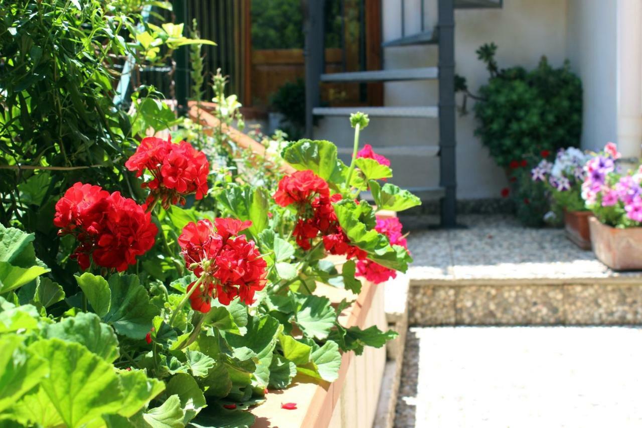 Raggio Di Sole Bed & Breakfast Макари Экстерьер фото